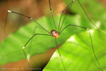 IMG_0158-58