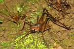 IMG_0177-77