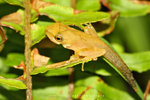 IMG_0195-95