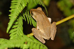 IMG_0208-08