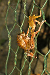 IMG_0228-28