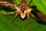IMG_6815-15