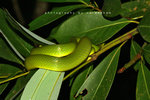 IMG_6865-65