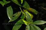 IMG_6866-66