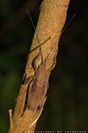 IMG_8881-81