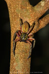 IMG_8883-83