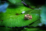 IMG_3121-21