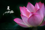 IMG_3122-22