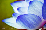 IMG_3154-54