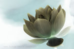 IMG_3167-67