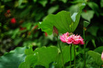 IMG_3169-69
