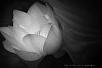 IMG_3184-84