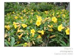 wpat_003