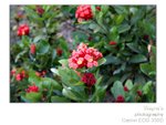 wpat_005