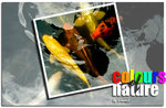 colours of nature 2