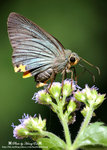 DSC_5457-fotop