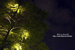 DSC_8532-b
