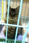����_20091101