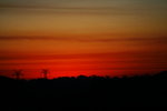 IMG_6349