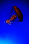 IMG_012