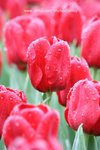 IMG_0065