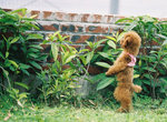 026small