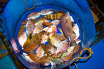 IMG_1126small
