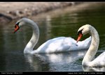 IMG_2112_nEO_IMG