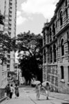 DPP_0003