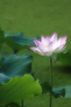 DSC_4746