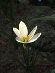 DSCF6623