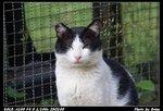 DSC06295
