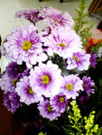 DSC01755
