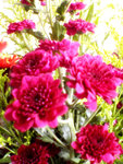 DSC01792