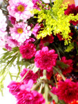 DSC01794