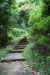 Mount Faber