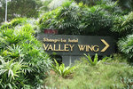 IMG_5265 copy
