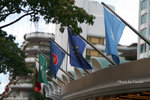 IMG_5323 copy