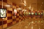 IMG_5396 copy