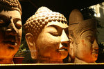 IMG_5424 copy