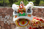 IMG_5896 copy
