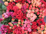 DSCF0264_wm