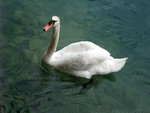 DSCF0557_wm