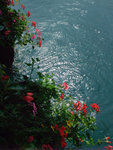 DSCF0588_wm