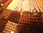 DSCF0681_wm