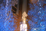 朗豪坊 Langham Place Mongkok