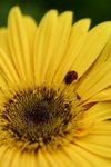 IMG_4755