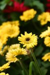 IMG_4758