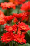 IMG_4760