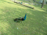 DSCF0028